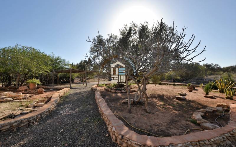 Camping-Caravaning (3)